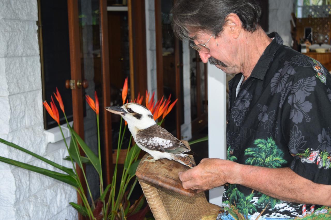 South Pacific Bed & Breakfast Clifton Beach Extérieur photo